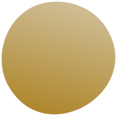 gold dot icon 4