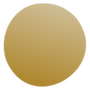 gold dot icon 1